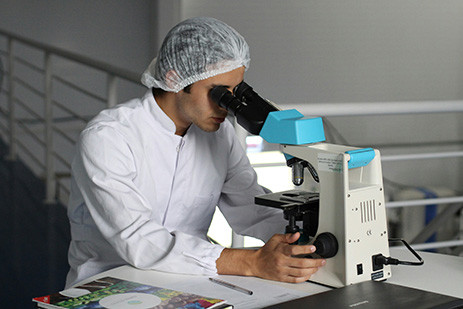 Professionnel de santé regardant dans un microscope.